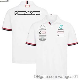 Men's T-Shirts 2022 f1 t-shirt Formula 1 Team T-shirts Polo shirts Custom Racing Fans Summer Casual Quick Dry Short Seve Series f1 hoodie Oversized Sweatshirt 412&3