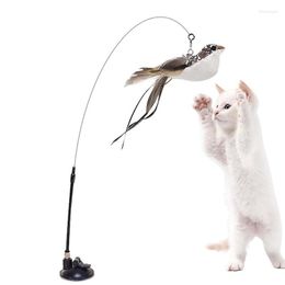 Cat Toys Stick Toy Strong Suction Cup Design Feather Swing Wand With Steel Wire For Pet Cats