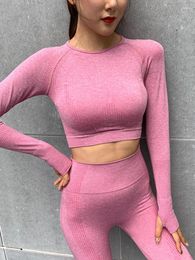 Active Shirts Sportswear Crop Top With Sleeves Women's T-shirt Seamless Yoga Sports For Fitness Woman Long Sleeve Sport Shirt Women