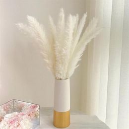 Decorative Flowers Bulrush Natural Dried Artificial Plants Branch Colorful INS Pampas Grass Phragmites Fake Flower Wedding Home De261x