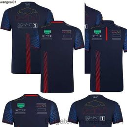 Men's T-Shirts 2023 F1 Team Racing T-shirt Formula 1 Driver Polo Shirts T-shirts Motorsport New Season Clothing Fans Tops Men's Jersey Plus Size 412&3