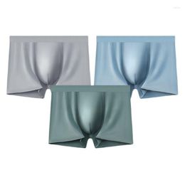 Underpants Summer Boxer Shorts Ice Silk Men Panties Seamless Solid Underwear Man Male Thin Elastic Boxers Plus Size XL-4XL