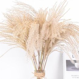 Decorative Flowers & Wreaths 50pcs Real Dried Small Pampas Grass Wedding Flower Bunch Natural Plants Decor Home Phragmites231j