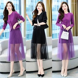 Work Dresses 2023 Spring Women's Single Breasted Coat Pleated Skirt Fashion2 Pieces Suit Elegant Office Ladies Short Jacket With Mesh Dress