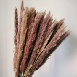 2pcs Fashion Decorative Flowers & Wreaths Ear 15-30cm Real Natural Reed Dried Flower Small Bulrush Bouquet Pampas Grass Home Decor Wedding Party Decoration