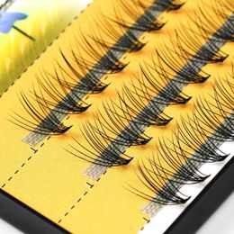 False Eyelashes Softer Feel Nesura 10D Individual Eyelash Personal Use Extension Natural Soft 60 Pieces Russia Cilia