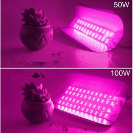 Grow Lights LED COB lodine tungsten Spectrum LED grow pink 380-840nm 100W 50W AC 220V 110V led IC plant lights fllood light Vegetable plan P230413