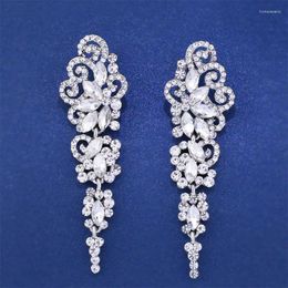 Dangle Earrings XY Fashion Crystal Tassel Long Section Allergy-proof Ear Pin Bride Jewelry