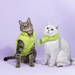 Cat Costumes Pet Cotton Clothes And Dog General Vest Winter Warm Autumn Anti-hair Loss