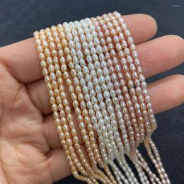 Beads High Quality Natural Freshwater Pearl Spacer DIY Rice-shaped Loose Elegant Bracelet Necklace Jewellery Making 2-3mm