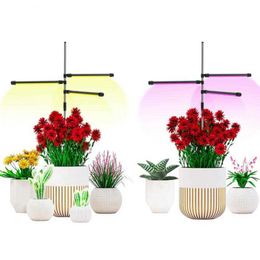 Grow Lights LED Grow Light 5V USB LED Plant Lamp Full Spectrum USB Phyto Lamp For indoor Vegetable Flower Seedling Greenhouse Grow Light P230413