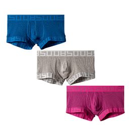 Underpants 3Pcs Cotton Men Underwear Boxer Seamless Soft Male Panties Lingeries Mesh Breathable Underpants Boxers Man 230413