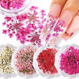 10Pcs 3D Dried Flower Nails Art Decorations Natural Floral Nail Charms Jewellery Set Nail Supplies For Professionals Accessories