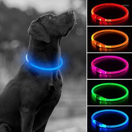 Dog Collars Pet Collar USB Rechargeable Colour Luminous Walking At Night Anti-loss Three Modes Adjustable Flash