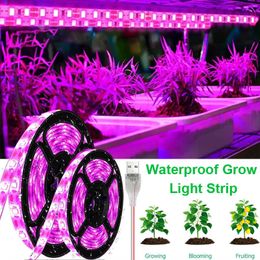 Grow Lights 10M USB Led Stript Lights Full Spectrum DC 5V 1-5m Plant Light Grow LED Strip Phyto Lamp for Vegetable Flower Seedling Grow Tent P230413