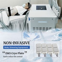 Non-vacuum Maxlipo 360 Cyro EMS 8 Cooling Pads Full Body Shape Cryolipolysis Slimming Cellulite Removal Fat Freezing Plate EMS Machine