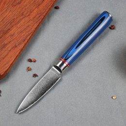 kitchen10Cr15CoMoV 67 Layers Damascus Steel G10 Handle Kitchen Household Outdoor Survival Climbing Fishing Fruit EDC Knife