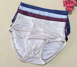 Underpants 4 PACK 50% silk 50% Viscose Men's Underwear Briefs Size L XL 2XL 3XL SG102 230413