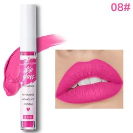 Lip Gloss Makeup Lipstick Non stick Cup Matte Liquid Waterproof Long lasting Velvet Beauty Lips Cosmetic 231113