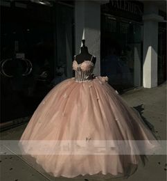 New Arrival Pinkprincess Ball Gown Quinceanera Dresses 2024 With Bow Butterfly Appliques Beads Birthday Party For 15Th Girls 322