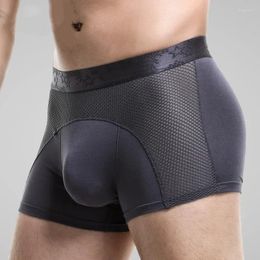 Underpants Men's Underwear Mesh Boxers Modal Sports Thin Breathable Comfortable