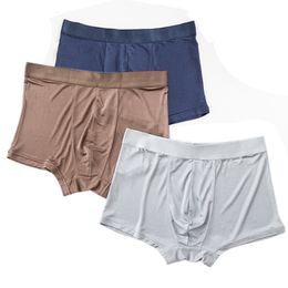 Underpants 3pcs Real Silk Panties Men 100% Silk Underwear man High Quality Brand Natural Fabric Underpants 230413