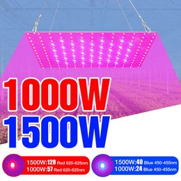 Grow Lights 220V Full Spectrum LED Plant Growth Light 1000W Phytolamps For Seedlings Quantum Board 1500W Fito Lamps Hydroponic Grow Tent Box P230413