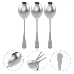 Dinnerware Sets 3Pcs Stainless Steel Dining Hall Self-service Spoons Serving Scoops (Silver) Buffet Set