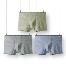 Underpants Men's Underwear Cotton Striped Boxers Mulberry Silk Antibacterial Inner Shorts 3PCS