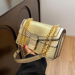 Evening Bags 2023 Gold Shoulder Bag Chains Messenger Fashion Girls Casual Handbag Simple Leisure Personality Small Square Women