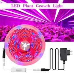 Grow Lights LED Plant Grow Strip lights Full Spectrum Flower phyto lamp Waterproof for Greenhouse Hydroponic Growth Light +Power adapter P230413