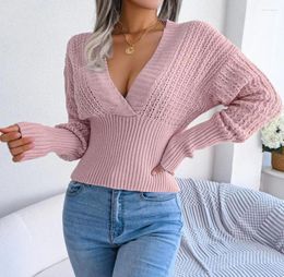 Women's Sweaters Fashion Pullovers Casual V-Neck Long Sleeve Acrylic Jumper Hollow Out Batwing Autumn Winter Warm Knit Sweater Women 2023