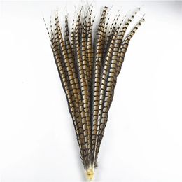 Other Event Party Supplies 10PcsLot Natural Lady Amherst Pheasant Feathers for Crafts 30120cm1248" Craft Decoration Long Decor DIY 231113