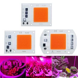 Grow Lights LED Grow COB Light Chip Full Spectrum AC 220V 10W 20W 30W 50W No need driver For Growth Flower Seedling Grow Plant Lighting P230413