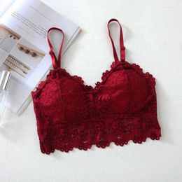 Bustiers & Corsets Sexy Solid Colour Camisole Women Lace Bralette Tube Tops Bandeau Bra Tanks Crop Girl Underwear