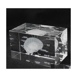 Decorative Objects Figurines 3D Human Anatomical Model Paperweight Laser Etched Brain Crystal Glass Cube Anatomy Mind Neurology Th Ot1Mv