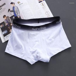 Underpants Youth Comfortable Convex Pouch Panties Solid Colour Men Boxer Short Cotton Lingerie Fashion Personality Male Underwear Breathable