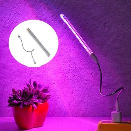 Grow Lights Led Growing Light Indoor Supplement Light Plant Grow Lamps Greenhouse Phyto Lamp Grow Red Blue Hydroponic Growing Light P230413