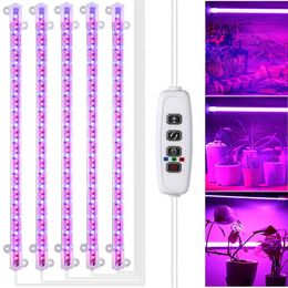 Grow Lights Indoor Phyto Growth Lamp LED Plant Grow Light For Plant Full Spectrum Phytolamp Hydroponic Kit For Growing Lamp Timer With Power P230413