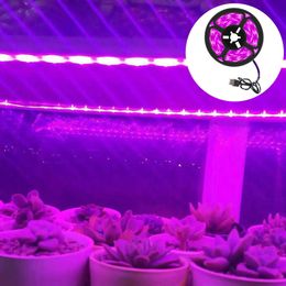Grow Lights LED waterproof full-spectrum plant light USB DC5V 0.5m1m2m3m 2835SMD growth light with greenhouse plants and flowers cultivation P230413