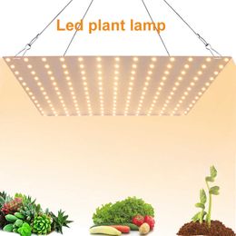 Grow Lights LED Grow Light 4000K Full Spectrum Powerful Phyto Lamp Plant Waterproof Lamp Plant Growing Light For Indoor Flowers Vegetables P230413
