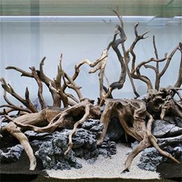 Decorations 2PCS Wood Fish Tank Driftwood Natural Tree Trunk Driftwood Aquarium Fish Tank Plant Aquario Aquarium Decoration 231113