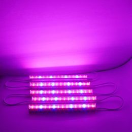 Grow Lights LED phyto lamp Full Spectrum Plant Grow light T5 LED Tube Bulb Grow lamp 110V 220V For indoor grow tent vegetables flower lamp P230413