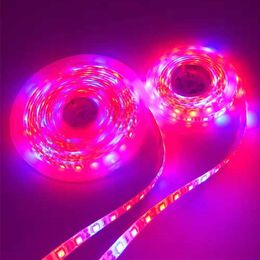 Grow Lights led grow light strip 5M 5050 Full Spectrum Flower Plant Phyto Growth lamp for indoor Greenhouse Hydroponic grows lights 12V tent P230413