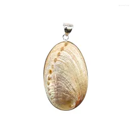 Pendant Necklaces Natural Small Zealand White Abalone Sea Shell Polished Paua Oval Necklace Earrings Charms DIY Woman Jewellery Finding