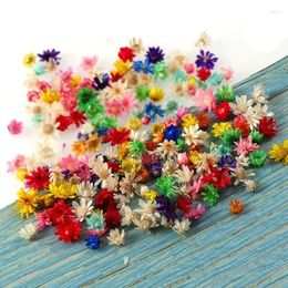 Decorative Flowers 100/200pcs Dried Little Star Flower For DIY Epoxy Resin Candle Making Jewellery Glass Fill Art Craft Decor