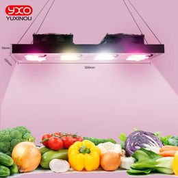Grow Lights LED Grow Light Dimmable 2000W DOB Full Spectrum Grow Hight PPFD Phytolamp For Flowers Greenhouse grow led Plants Veg Blooming P230413