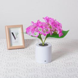 Table Lamps Warm Light Hydrangea Decorative Ornaments Energy-saving Charging And Plugging Bedside Lamp Brightness Adjustable 300w Film