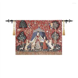 Tapestra de tapeçaria tapeçaria para a sala de estar Decorativa Picture GT-GFR0045