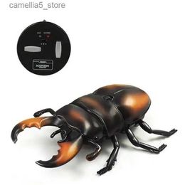 Electric/RC Animals Kids RC Animals Electric Simulation Beetle Toy with Remote Control Battery Powered Realistic Insect Toy Novelty Birthday Gift Q231114